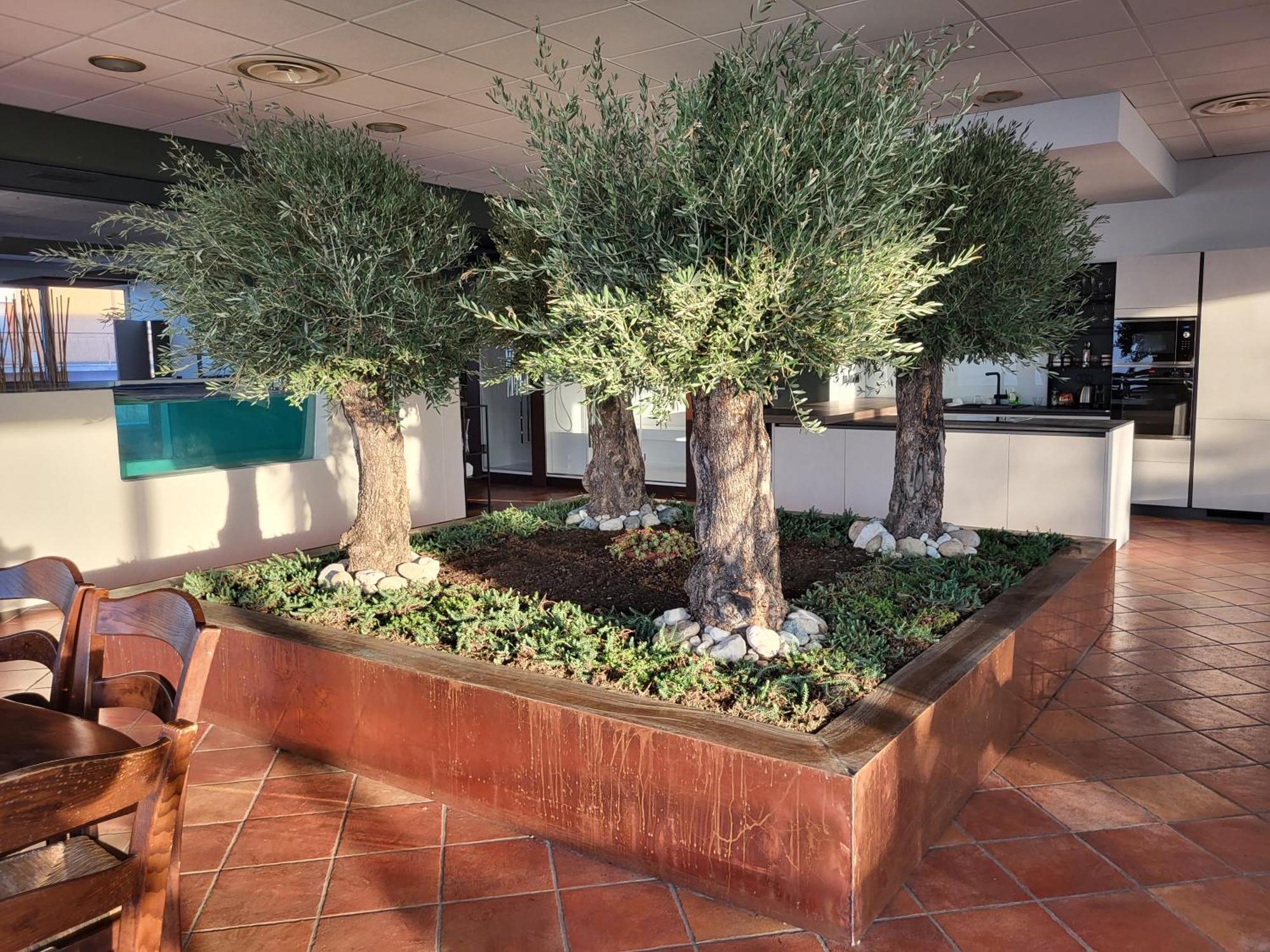 Bellavista Suite Spa Staffolo Экстерьер фото
